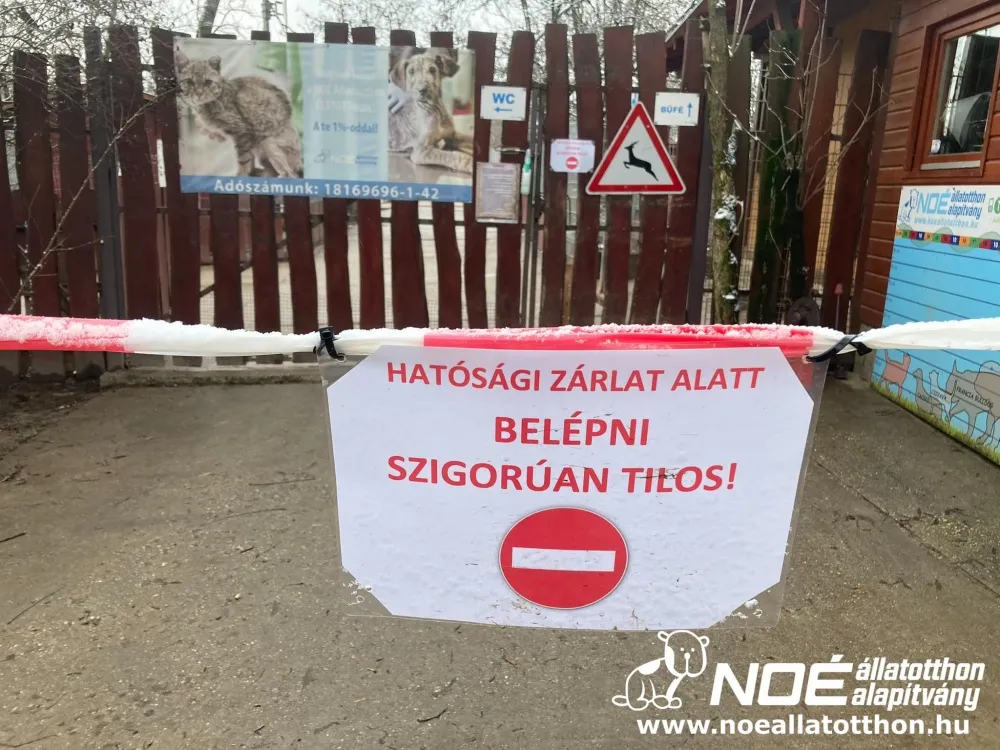 Tábla a Noé bejáratánál piros felirattal: Hatósági zárlat alatt belépni szigorúan tilos!